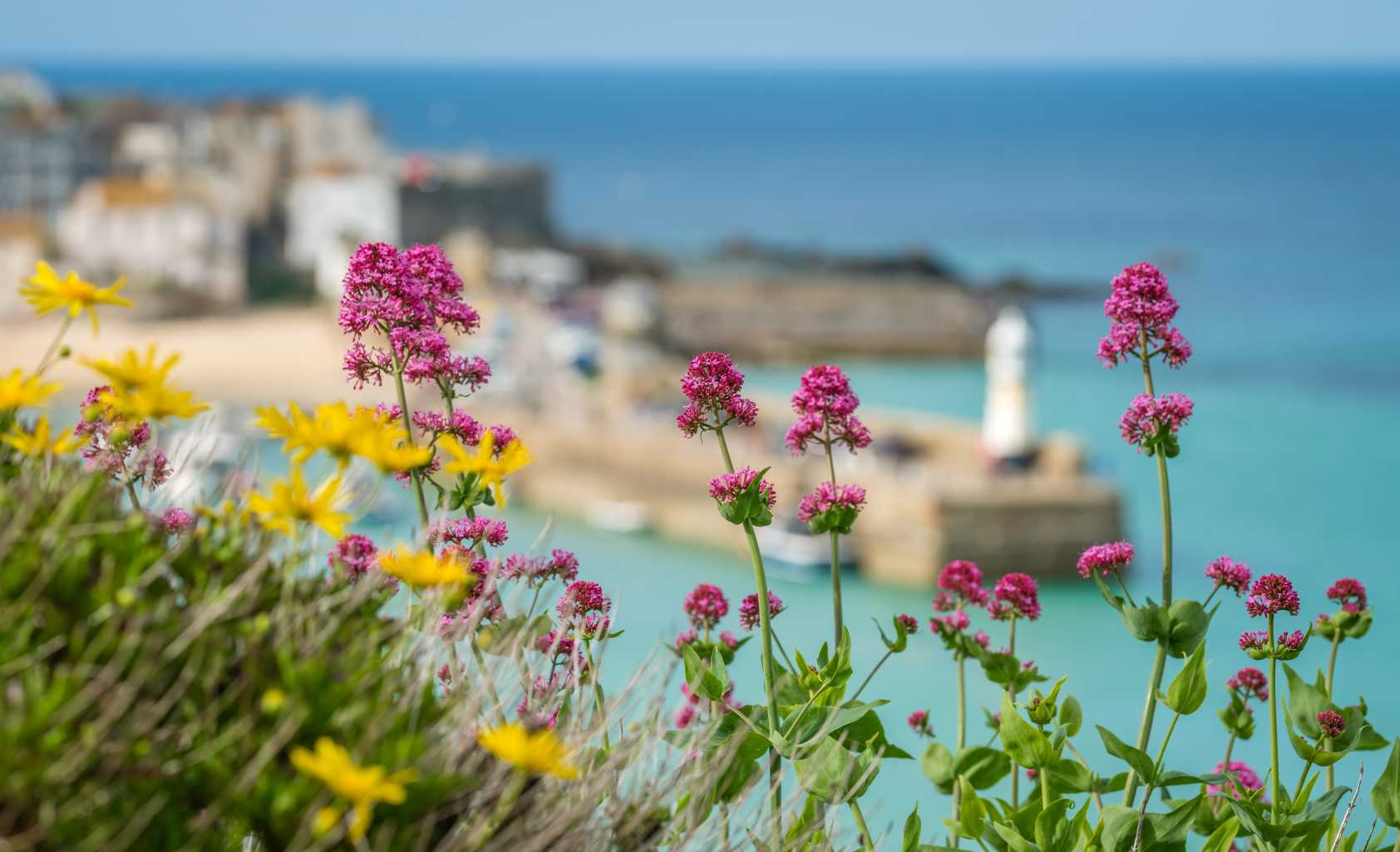 www.transportforcornwall.co.uk