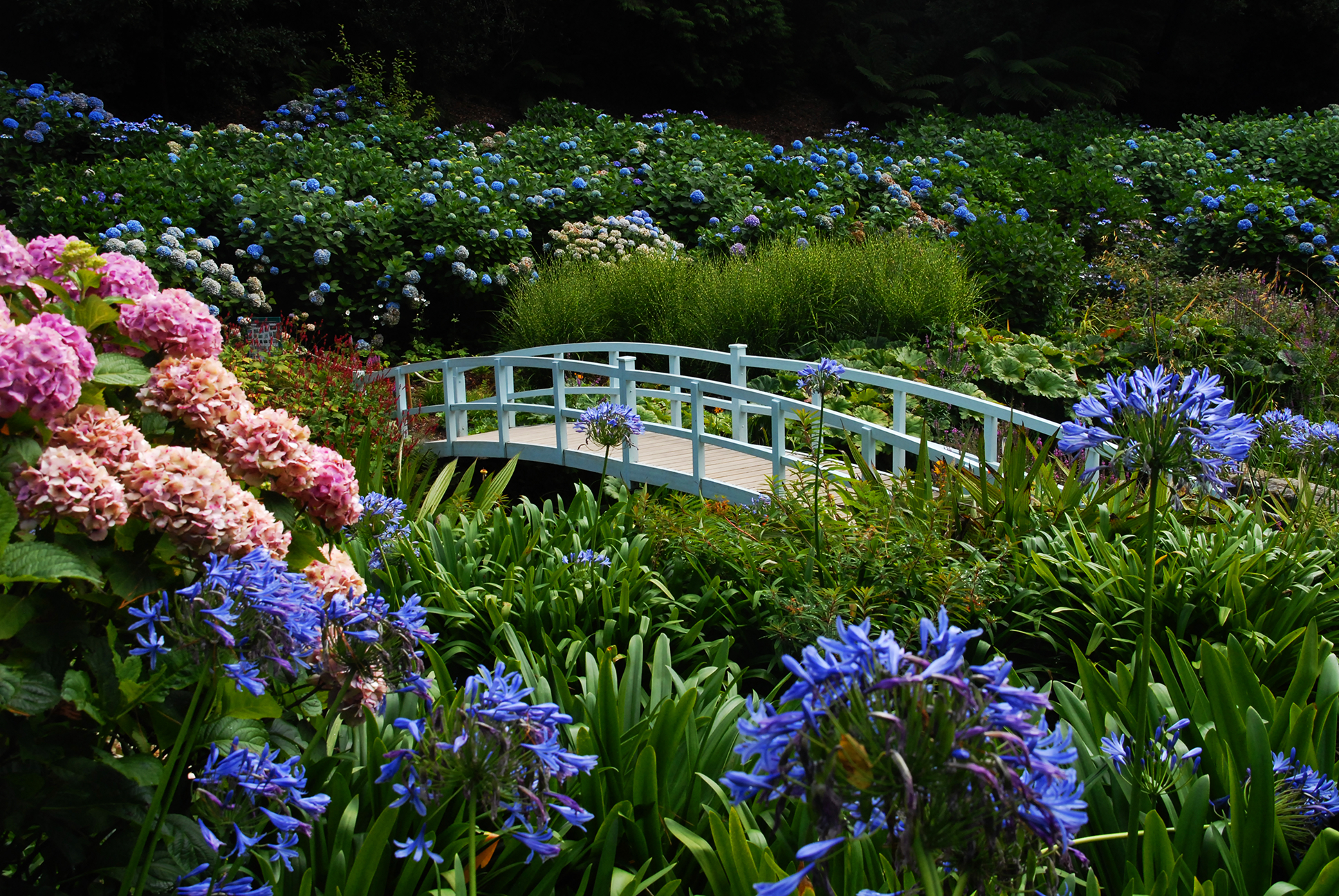 Trebah Gardens - Transport for Cornwall